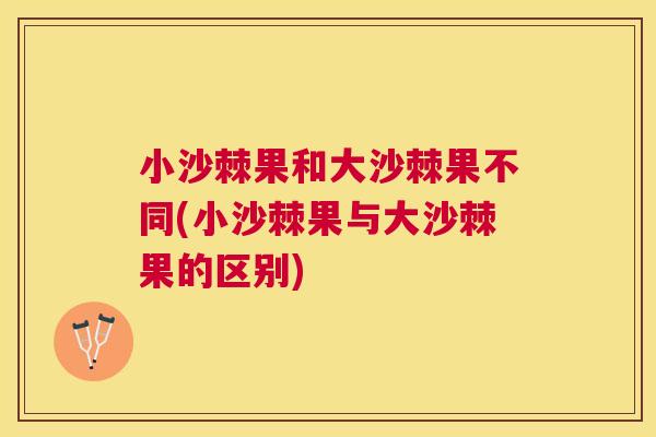 小沙棘果和大沙棘果不同(小沙棘果与大沙棘果的区别)