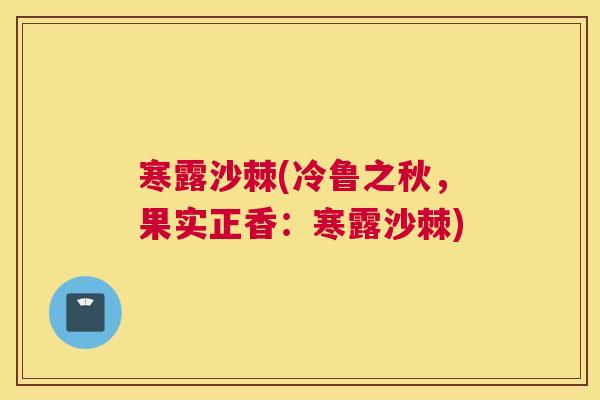 寒露沙棘(冷鲁之秋,果实正香:寒露沙棘)