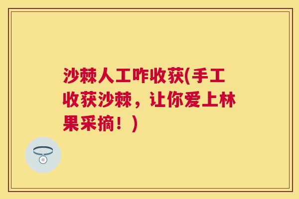 沙棘人工咋收获(手工收获沙棘，让你爱上林果采摘！)