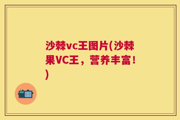 沙棘vc王图片(沙棘果VC王，营养丰富！)