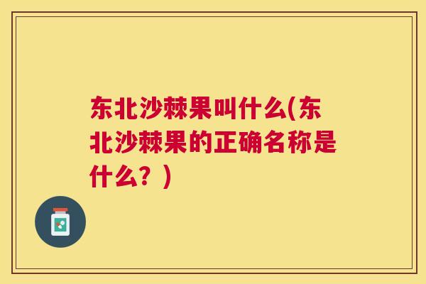 东北沙棘果叫什么(东北沙棘果的正确名称是什么?)