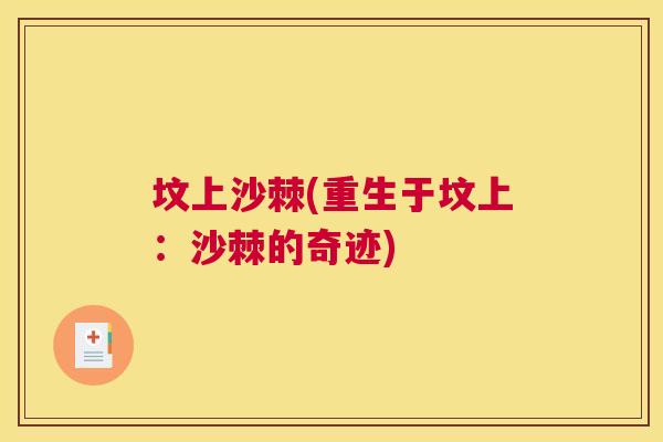 坟上沙棘(重生于坟上：沙棘的奇迹)