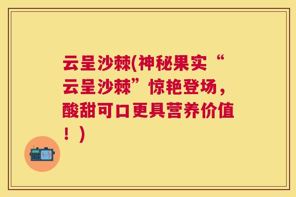 云呈沙棘(神秘果实“云呈沙棘”惊艳登场,酸甜可口更具营养价值!) 云呈沙棘(神秘果实“云呈沙棘”惊艳登场,酸甜可口更具营养价值!)