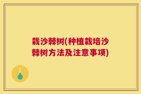 栽沙棘树(种植栽培沙棘树方法及注意事项)