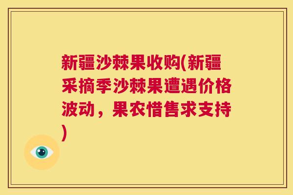 新疆沙棘果收购(新疆采摘季沙棘果遭遇价格波动,果农惜售求支持)