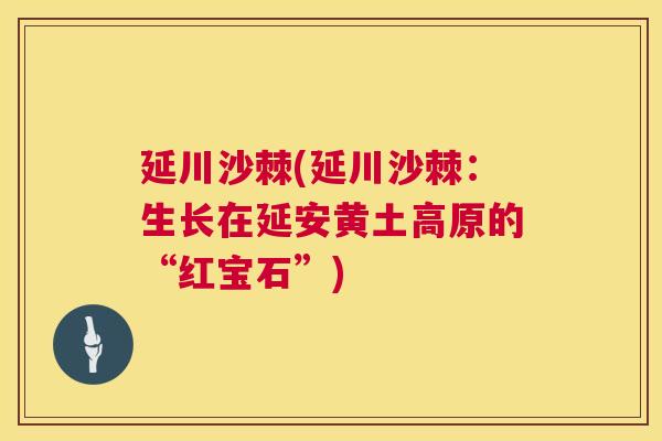延川沙棘(延川沙棘:生长在延安黄土高原的“红宝石”)