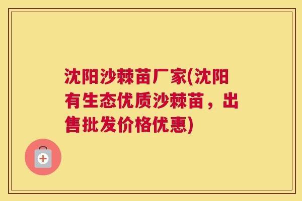 沈阳沙棘苗厂家(沈阳有生态优质沙棘苗，出售批发价格优惠)