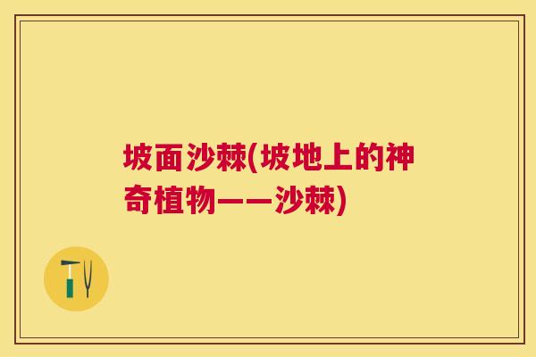 坡面沙棘(坡地上的神奇植物——沙棘)
