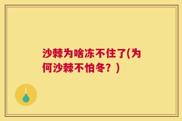 沙棘为啥冻不住了(为何沙棘不怕冬?)