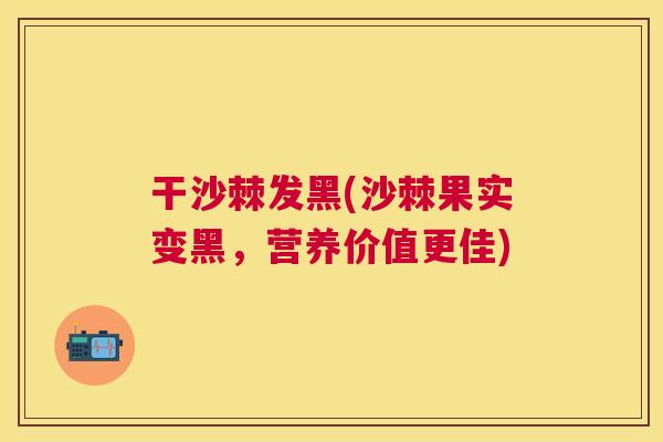干沙棘发黑(沙棘果实变黑，营养价值更佳)