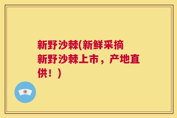新野沙棘(新鲜采摘 新野沙棘上市，产地直供！)