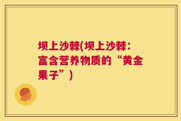 坝上沙棘(坝上沙棘：富含营养物质的“黄金果子”)