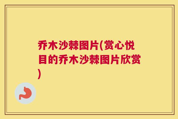 乔木沙棘图片(赏心悦目的乔木沙棘图片欣赏)