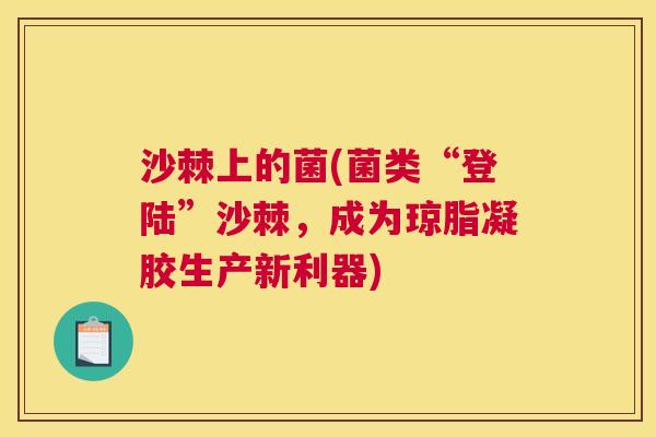 沙棘上的菌(菌类“登陆”沙棘,成为琼脂凝胶生产新利器)
