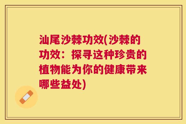 汕尾沙棘功效(沙棘的功效:探寻这种珍贵的植物能为你的健康带来哪些益处)