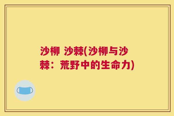 沙柳 沙棘(沙柳与沙棘：荒野中的生命力)