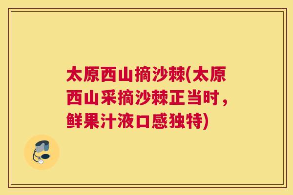太原西山摘沙棘(太原西山采摘沙棘正当时，鲜果汁液口感独特)
