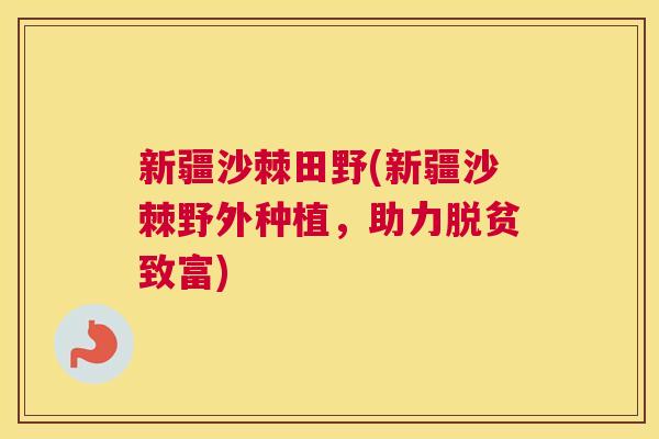 新疆沙棘田野(新疆沙棘野外种植，助力脱贫致富)
