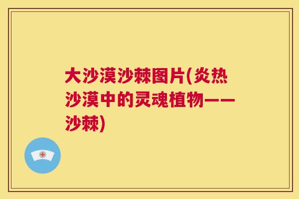 大沙漠沙棘图片(炎热沙漠中的灵魂植物——沙棘)