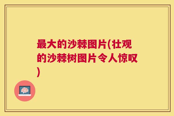 大的沙棘图片(壮观的沙棘树图片令人惊叹)