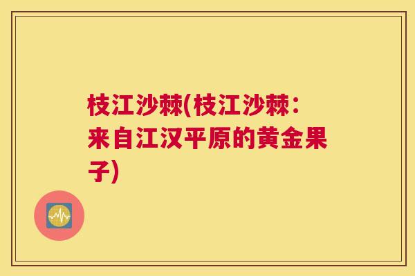 枝江沙棘(枝江沙棘:来自江汉平原的黄金果子)