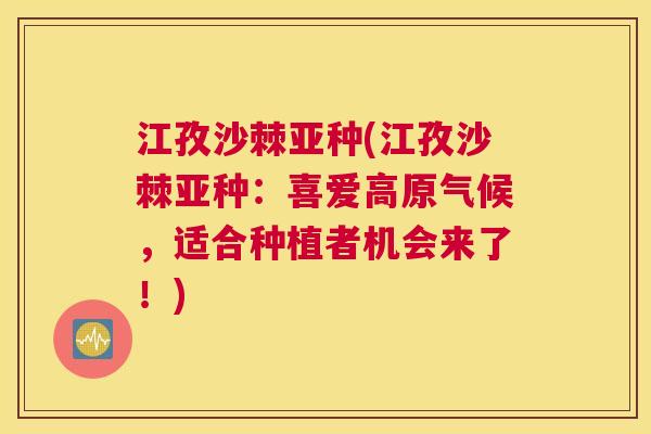 江孜沙棘亚种(江孜沙棘亚种：喜爱高原气候，适合种植者机会来了！)