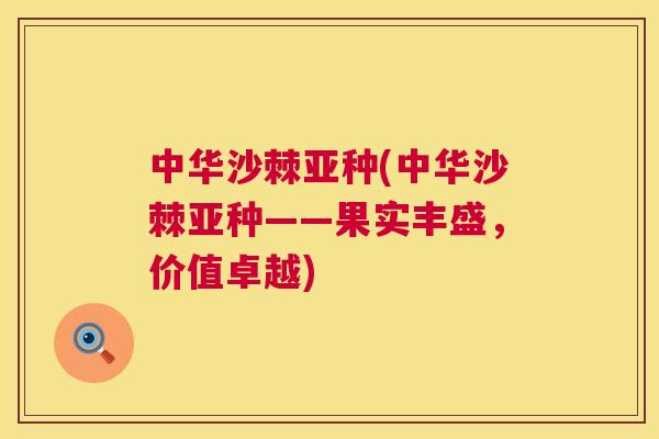 中华沙棘亚种(中华沙棘亚种——果实丰盛，价值卓越)