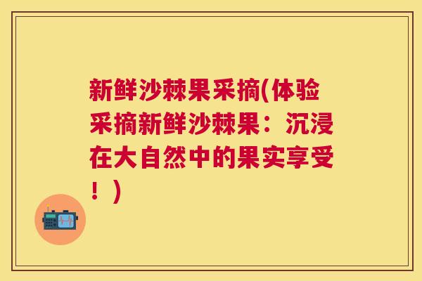 新鲜沙棘果采摘(体验采摘新鲜沙棘果：沉浸在大自然中的果实享受！)
