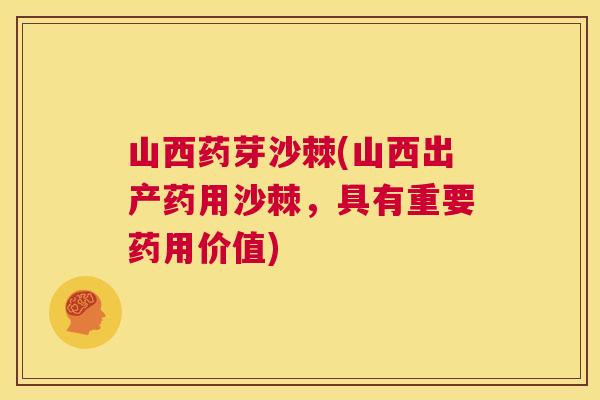 山西药芽沙棘(山西出产药用沙棘，具有重要药用价值)