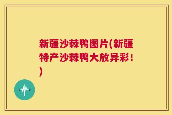 新疆沙棘鸭图片(新疆特产沙棘鸭大放异彩！)