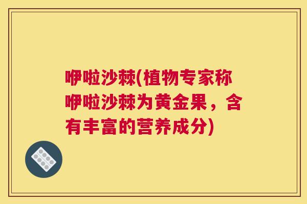 咿啦沙棘(植物专家称咿啦沙棘为黄金果,含有丰富的营养成分)