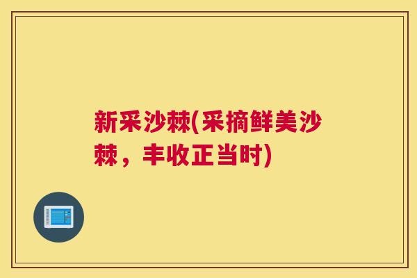 新采沙棘(采摘鲜美沙棘，丰收正当时)