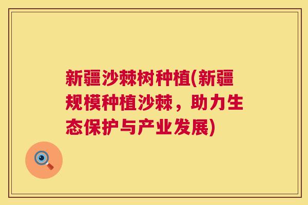 新疆沙棘树种植(新疆规模种植沙棘,助力生态保护与产业发展)