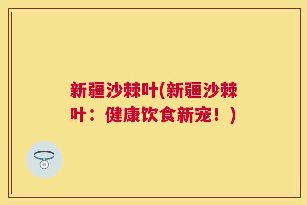 新疆沙棘叶(新疆沙棘叶：健康饮食新宠！)