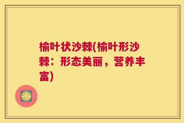 榆叶状沙棘(榆叶形沙棘:形态美丽,营养丰富)