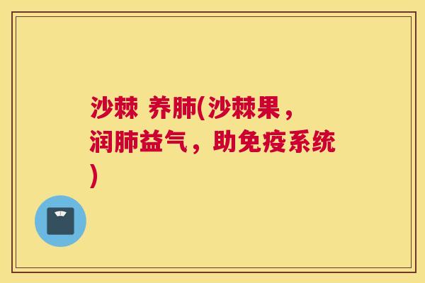 沙棘 养肺(沙棘果，润肺益气，助免疫系统)