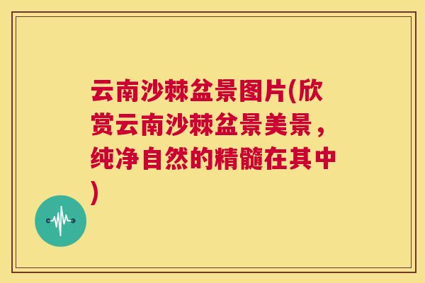 云南沙棘盆景图片(欣赏云南沙棘盆景美景，纯净自然的精髓在其中)