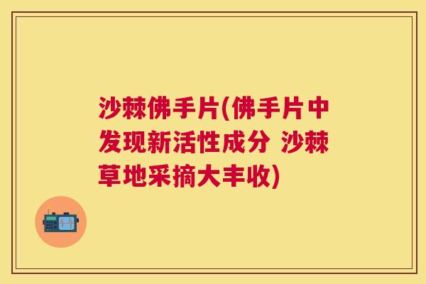 沙棘佛手片(佛手片中发现新活性成分 沙棘草地采摘大丰收)