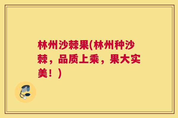 林州沙棘果(林州种沙棘,品质上乘,果大实美!)
