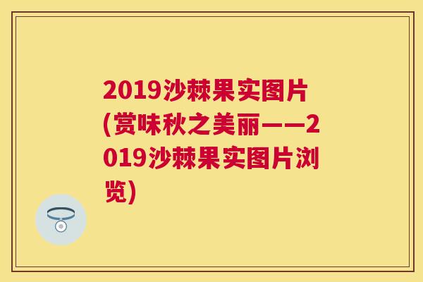 2019沙棘果实图片(赏味秋之美丽——2019沙棘果实图片浏览)