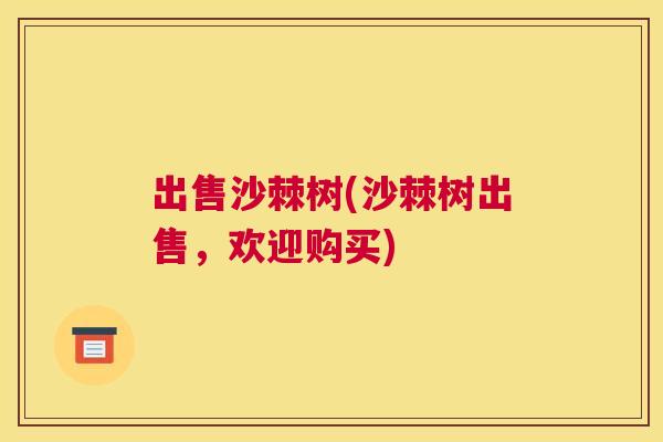 出售沙棘树(沙棘树出售，欢迎购买)