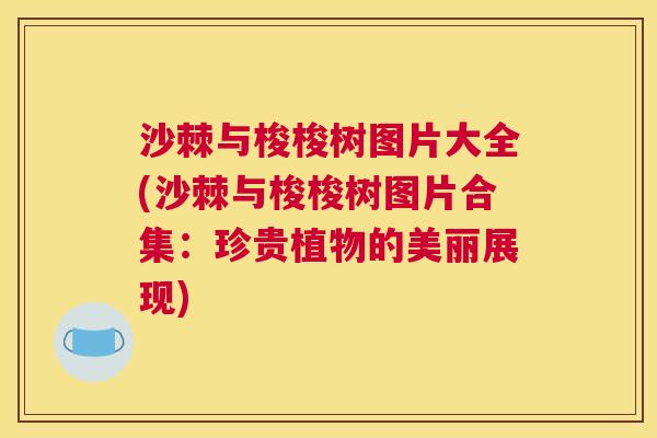 沙棘与梭梭树图片大全(沙棘与梭梭树图片合集:珍贵植物的美丽展现)