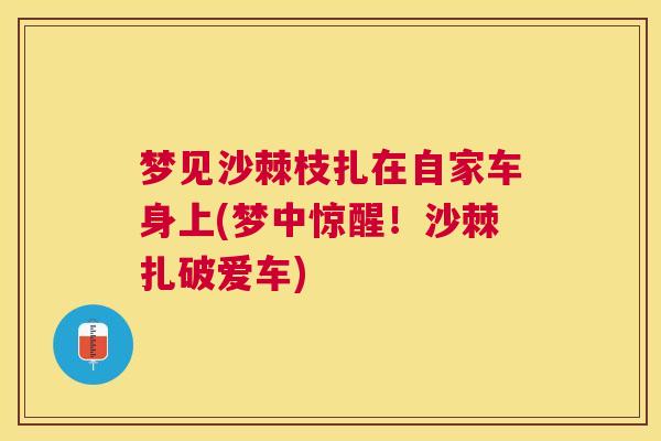 梦见沙棘枝扎在自家车身上(梦中惊醒!沙棘扎破爱车)