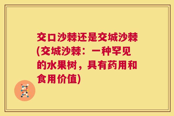 交口沙棘还是交城沙棘(交城沙棘：一种罕见的水果树，具有药用和食用价值)