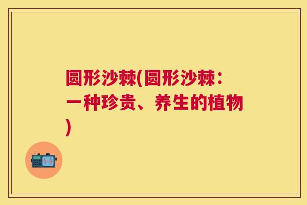 圆形沙棘(圆形沙棘:一种珍贵、养生的植物)
