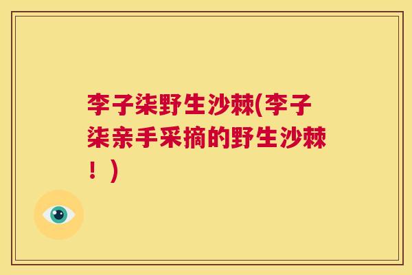 李子柒野生沙棘(李子柒亲手采摘的野生沙棘!) 李子柒野生沙棘(李子柒亲手采摘的野生沙棘!)