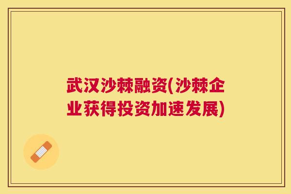 武汉沙棘融资(沙棘企业获得投资加速发展)