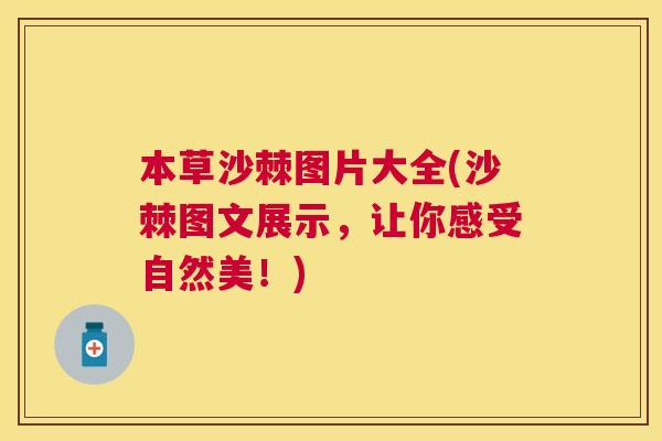 本草沙棘图片大全(沙棘图文展示，让你感受自然美！)