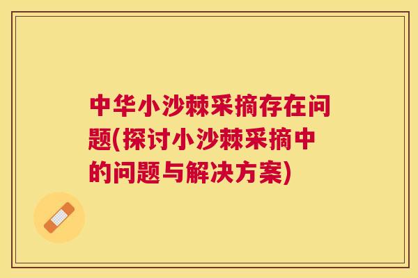 中华小沙棘采摘存在问题(探讨小沙棘采摘中的问题与解决方案)