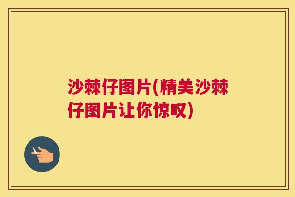沙棘仔图片(精美沙棘仔图片让你惊叹)